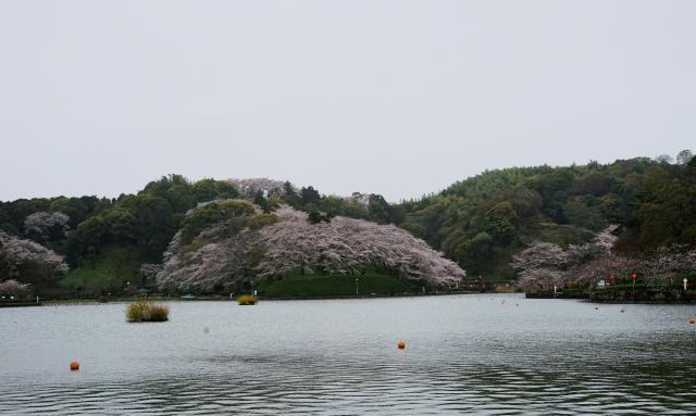 c0309734_16181216.jpg