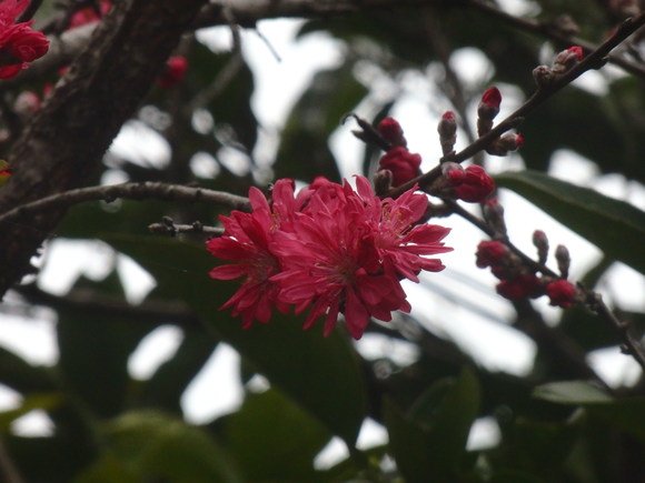 a0054240_20284339.jpg