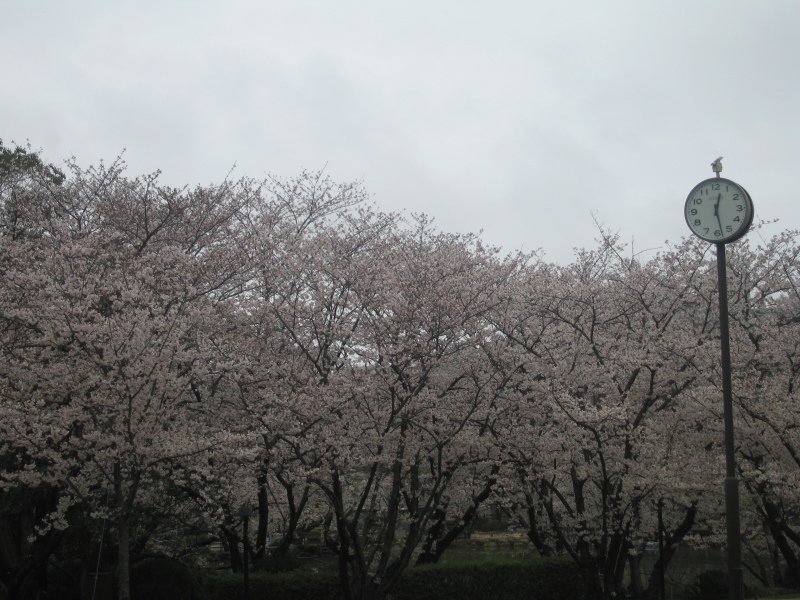 b0028845_05343007.jpg