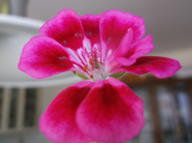c0006745_06343231.jpg