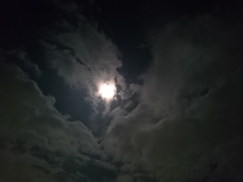 f0326946_23540666.jpg