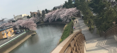 c0260648_01595393.jpg