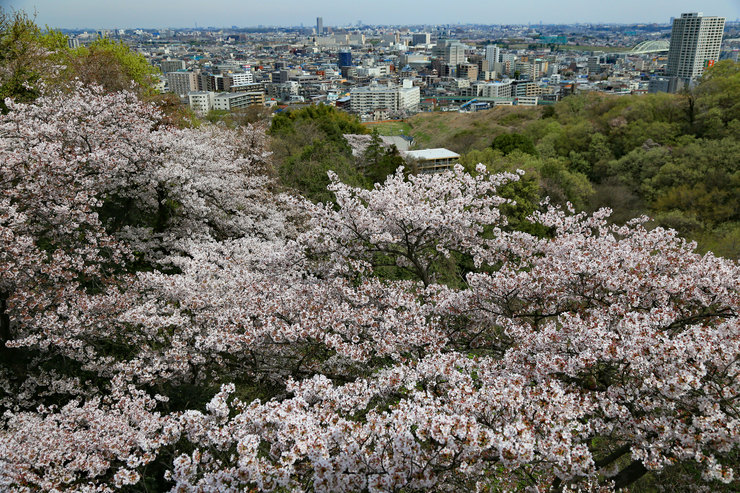 a0120949_6454130.jpg