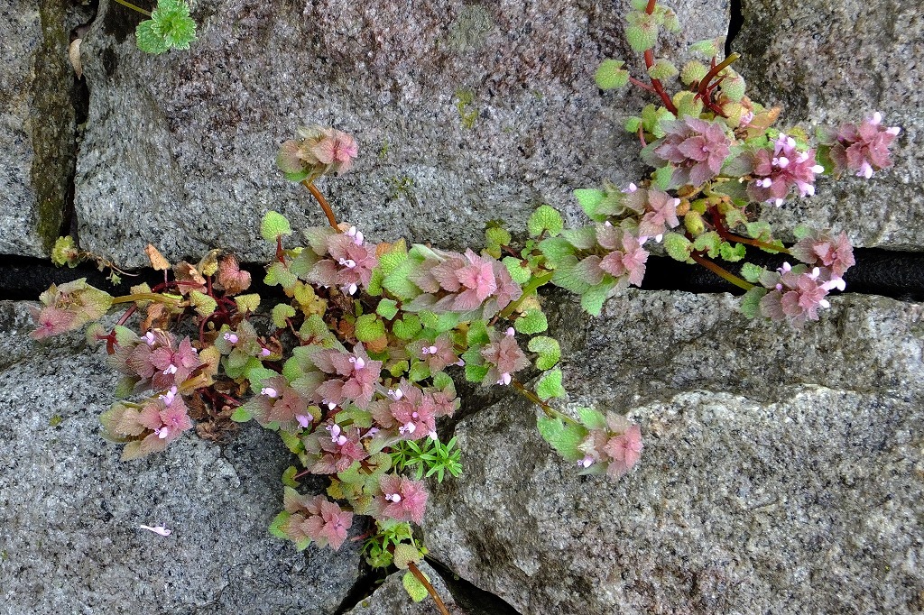 b0236251_12010732.jpg
