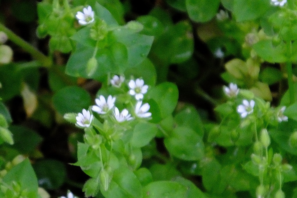 b0236251_12013150.jpg