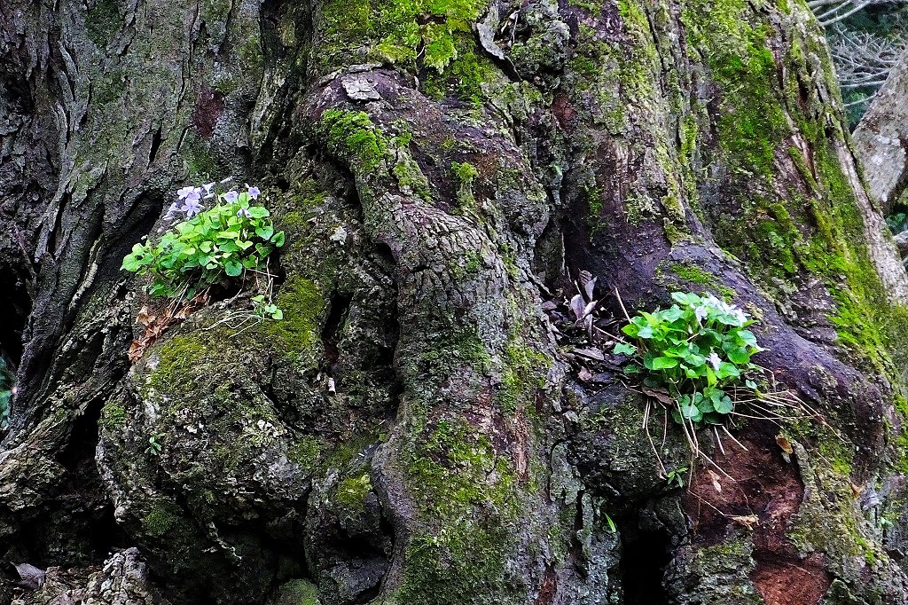 b0236251_12105821.jpg