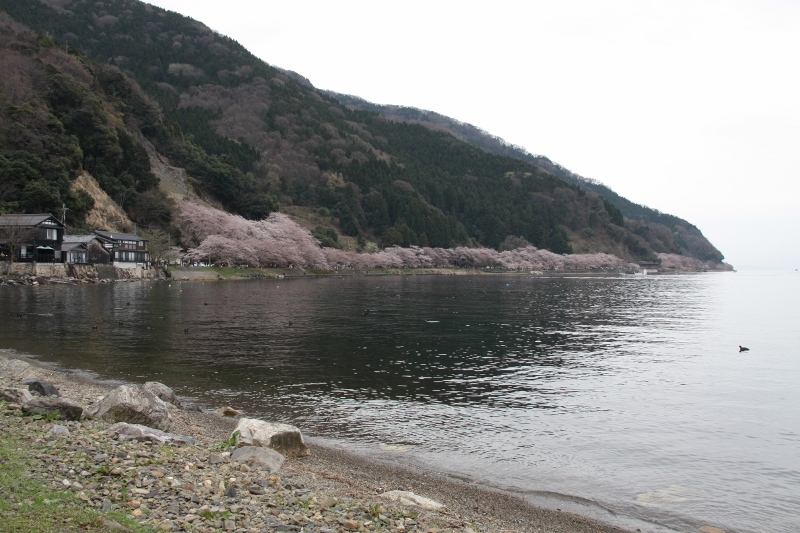 a0355356_09363946.jpg