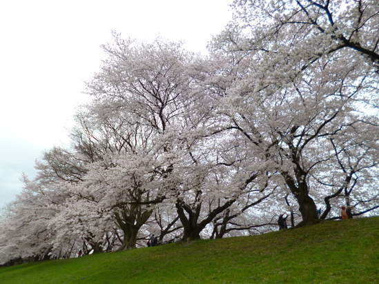 d0231858_10323186.jpg