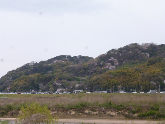 d0231858_111289.jpg
