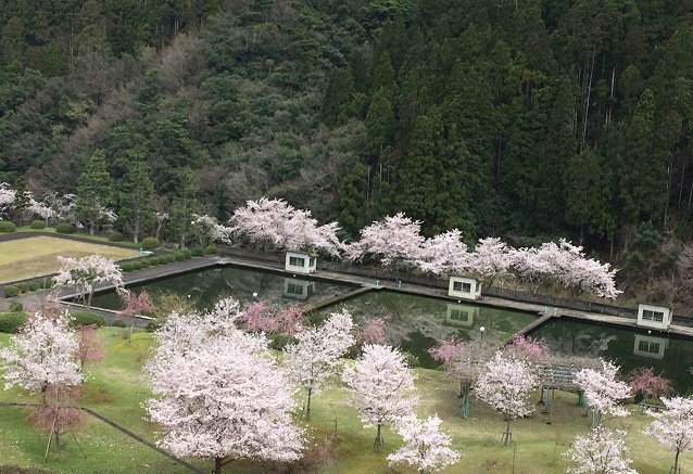 b0186959_10250809.jpg