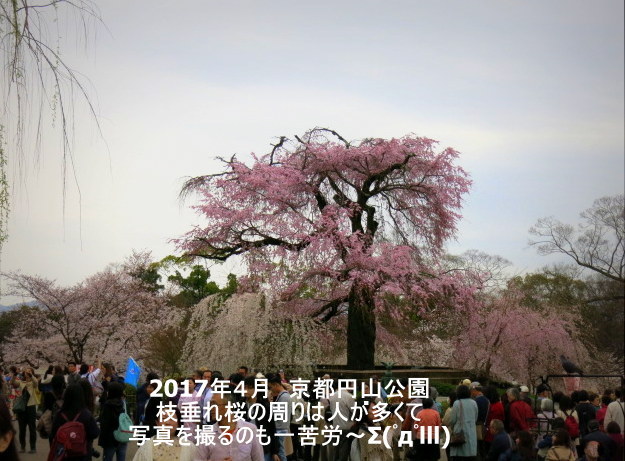 f0236260_13290756.jpg