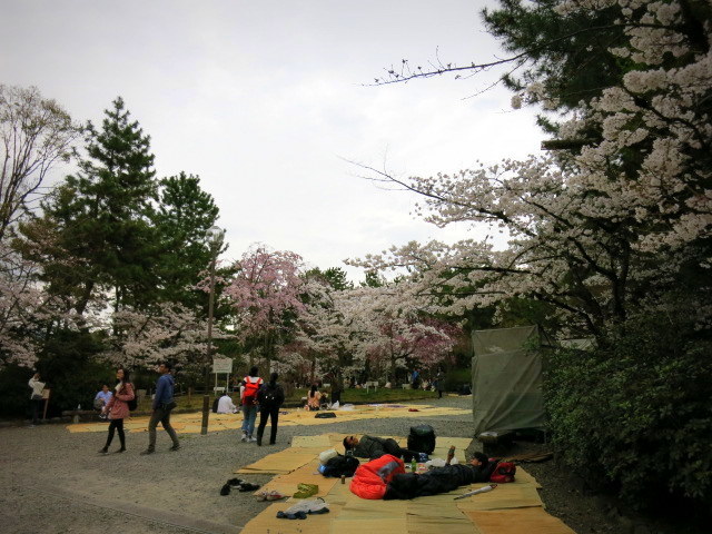 f0236260_13294260.jpg