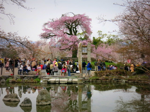 f0236260_13355761.jpg