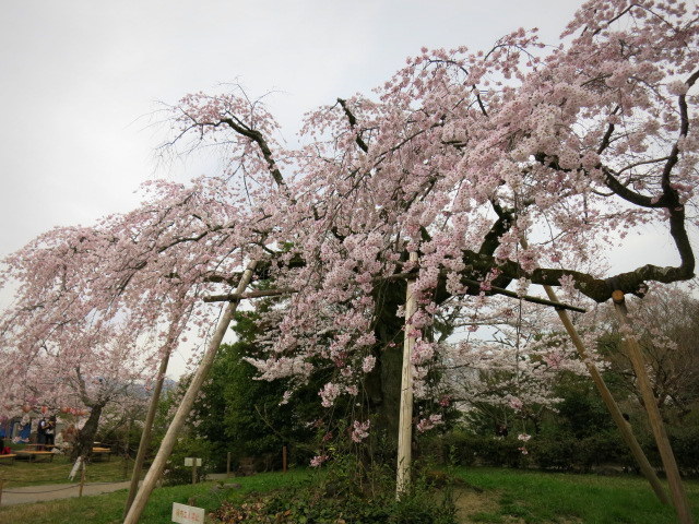 f0236260_13423192.jpg