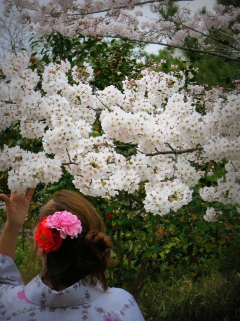 f0236260_13453433.jpg