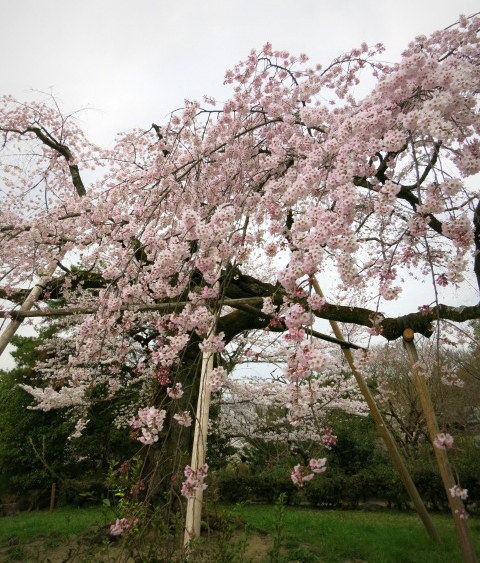 f0236260_13470581.jpg