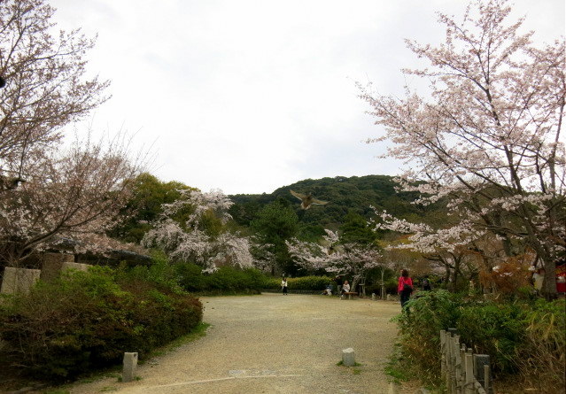 f0236260_14205652.jpg