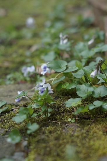 d0083761_22012010.jpg