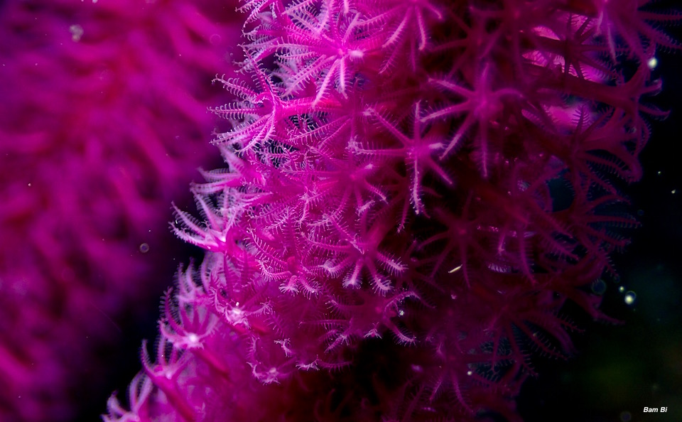 e0158261_1453418.jpg