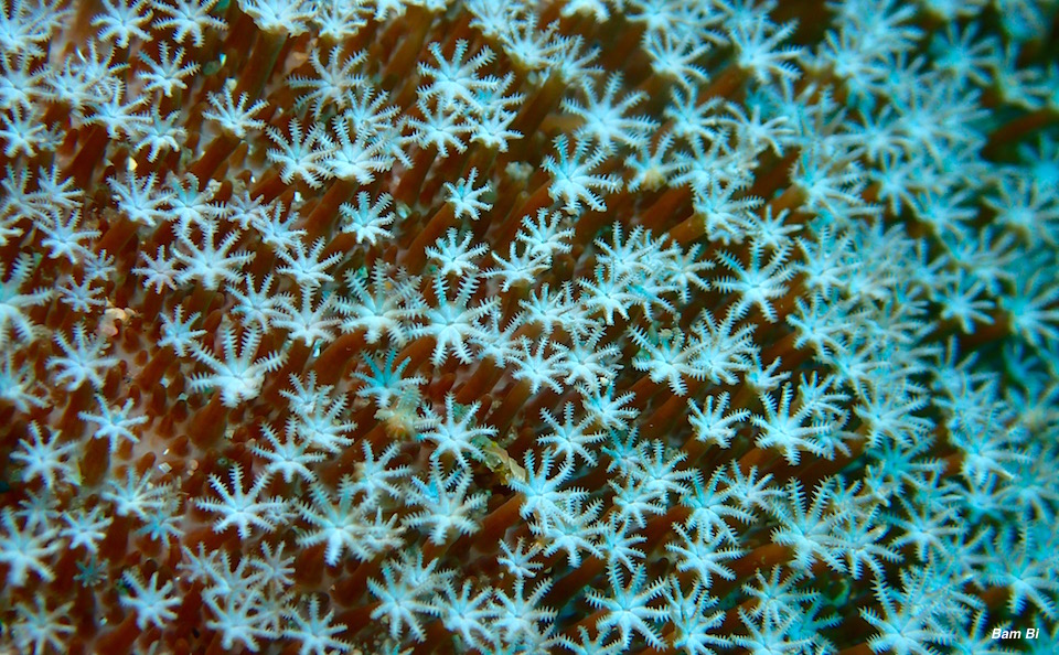 e0158261_1453854.jpg