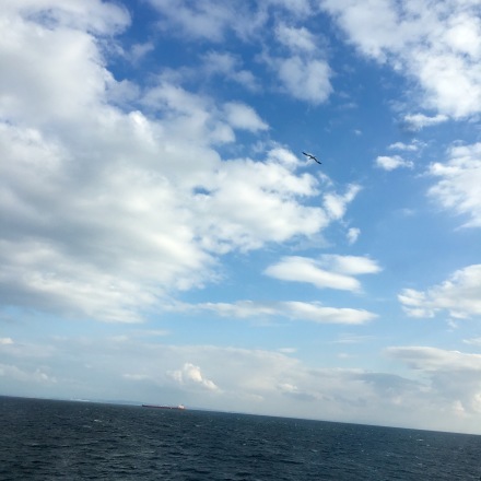 a0199262_21121299.jpg