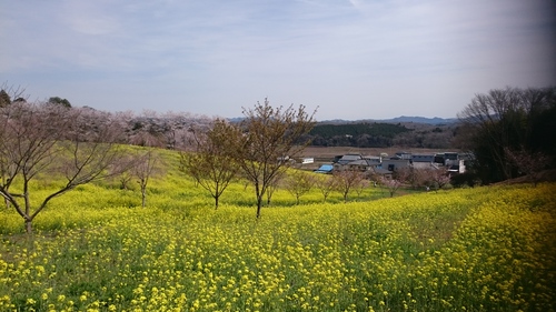 d0101562_162918.jpg