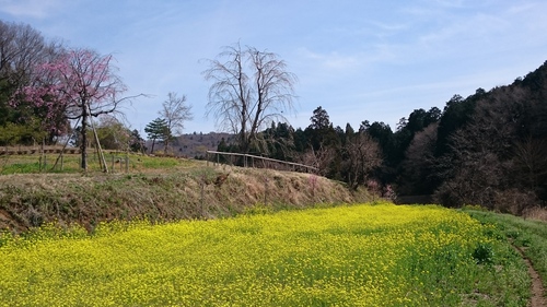 d0101562_16341134.jpg
