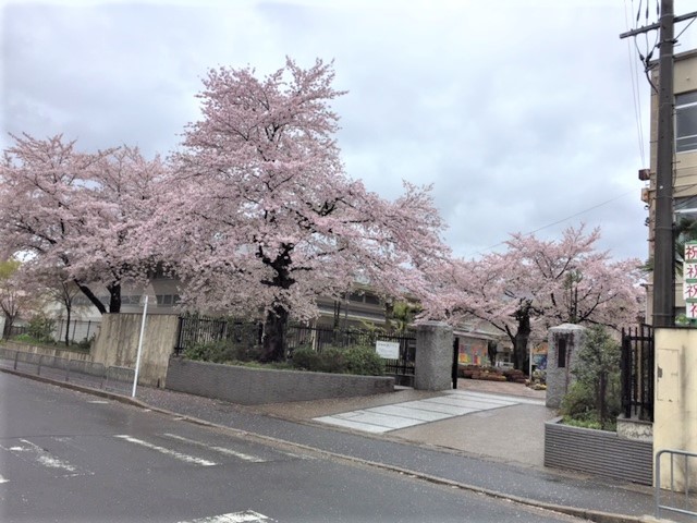 b0044663_22593637.jpg