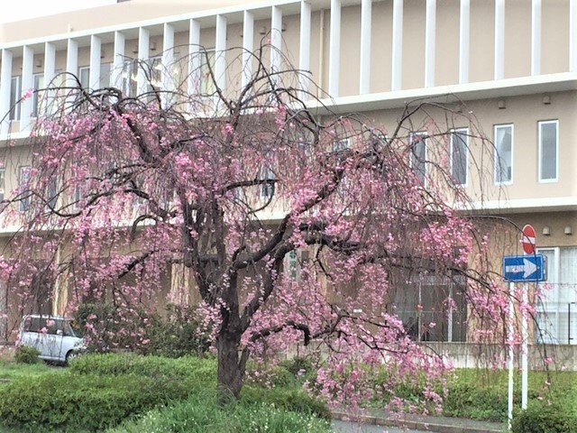 b0044663_23003767.jpg