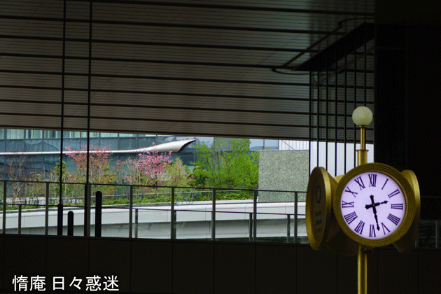 e0346064_18571069.gif
