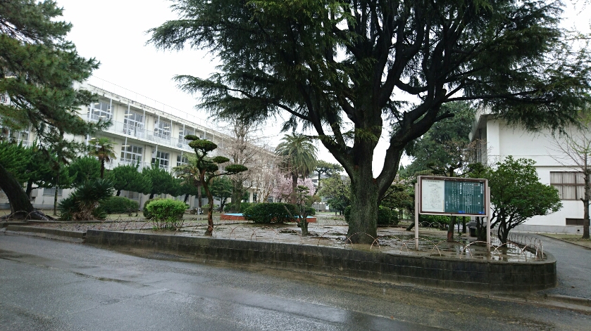 d0011065_1625084.jpg