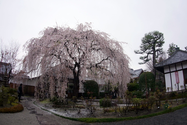 b0358575_04154435.jpg