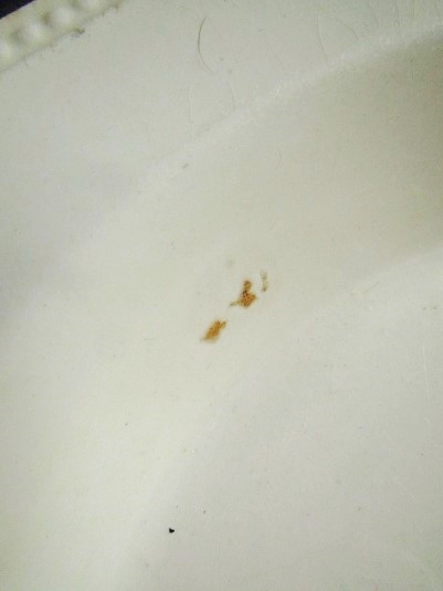 e0074478_22495497.jpg