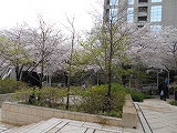 f0222378_11581086.jpg