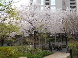 f0222378_11591275.jpg