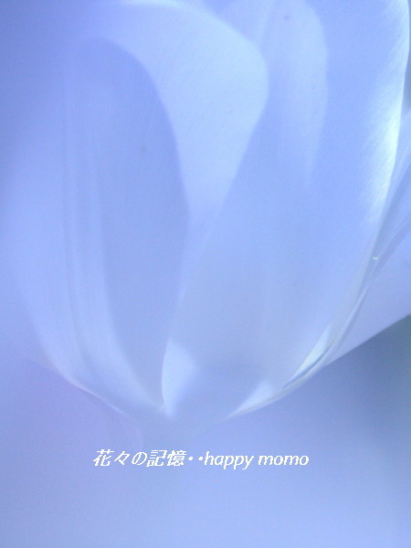 c0357781_14511847.jpg