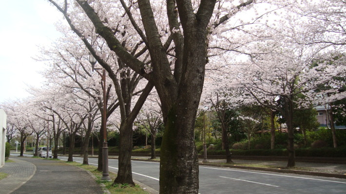 e0291281_16433737.jpg
