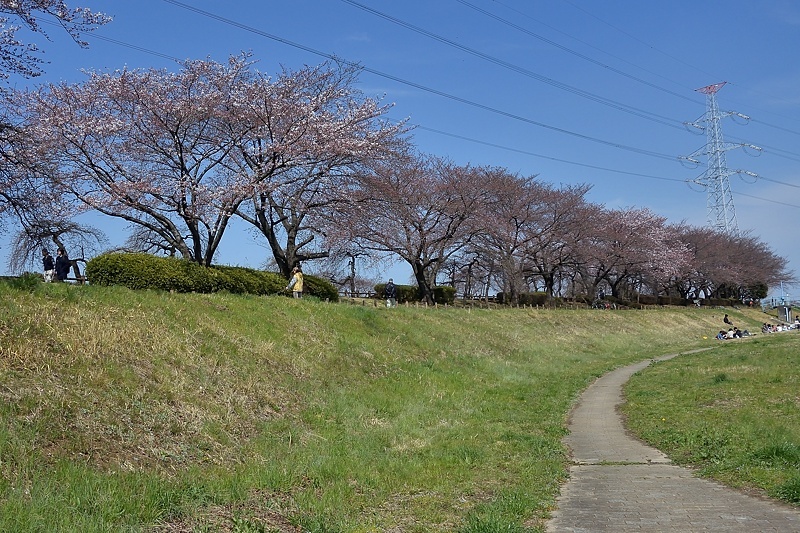 f0031682_14571063.jpg