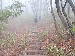 c0146483_17124818.jpg