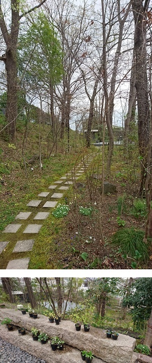e0223684_21400557.jpg