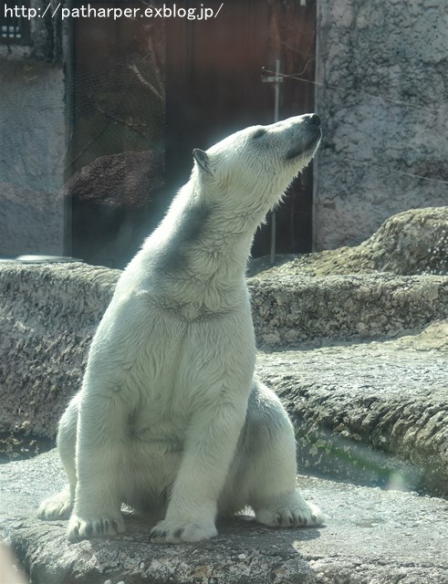 a0052986_7215759.jpg