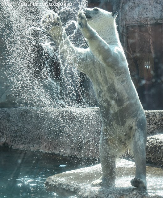 a0052986_733612.jpg