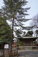 d0183387_23433444.jpg