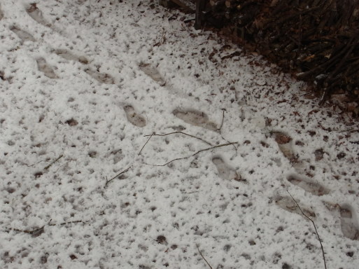 e0008887_14340655.jpg