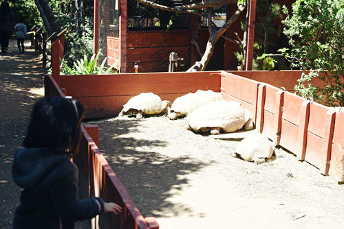 d0159690_03370719.jpg