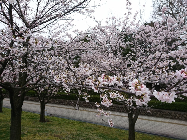 e0046190_18421013.jpg