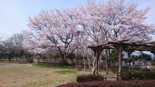 b0144891_18002189.jpg