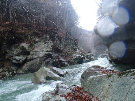 e0211293_07365091.jpg