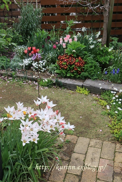 a0123003_22501316.jpg