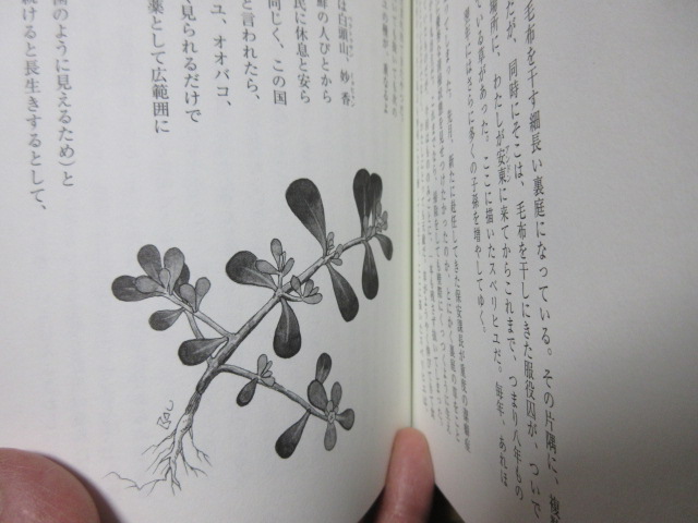 a0203003_2055660.jpg